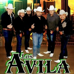 EL OSO ORMIGUERO ...LOS AVILA ...Y PURO SLP