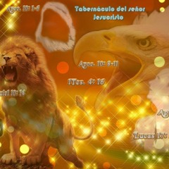 Errante Fui Hno. Geny