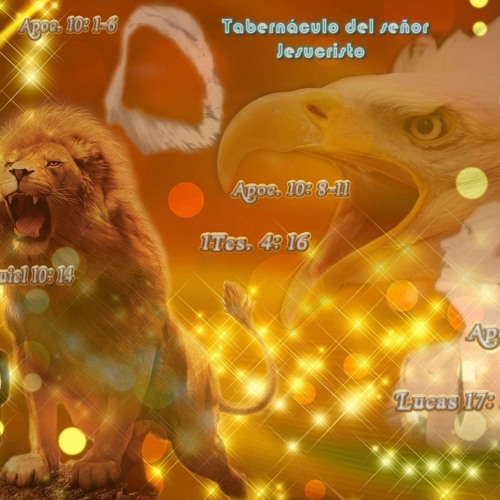 Errante Fui Hno. Geny