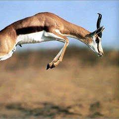 You Tell It One Way (Demo)