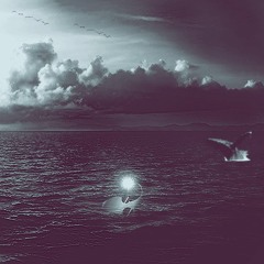 Escape to the Surface