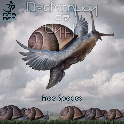 02 - Declaration Of Unity - Nominal Intelligence