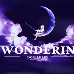 Dom Leafy - Wonderin'