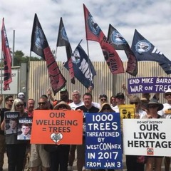 MUA's Paul Keating talks about Sydney WestConnex protests