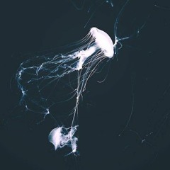 The Reality Of Love ft. Ravi Zacharias