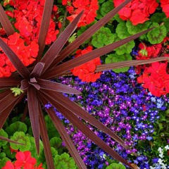 "Hibiki no Niwa / Garden of Resonance" for 5 Percussionists / 響きの庭〜5人の打楽器奏者のための (2012) - Mov.1