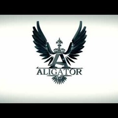 Aligator - The Perfect Match (The Swan And The Lake Ambient-Remix)