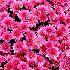 MOOMBÄSTiK 2 (Instrumental)