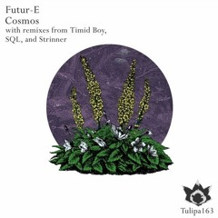 Futur-E - Argon (SQL Remix)full 192kbits preview [Tulipa]