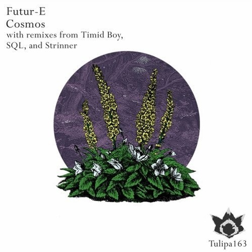 Futur-E - Argon (SQL Remix)full 192kbits preview [Tulipa]