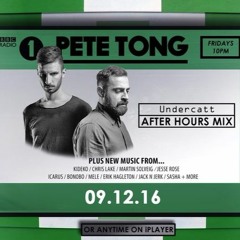 Undercatt After Hours Mix - Pete Tong BBC Radio 1