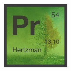 SOM 054 Hertzman - Paradise (Original Mix) preview