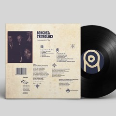 Puppet Made Of Shipwreck Wood (bongoes and tremoloes part 2)