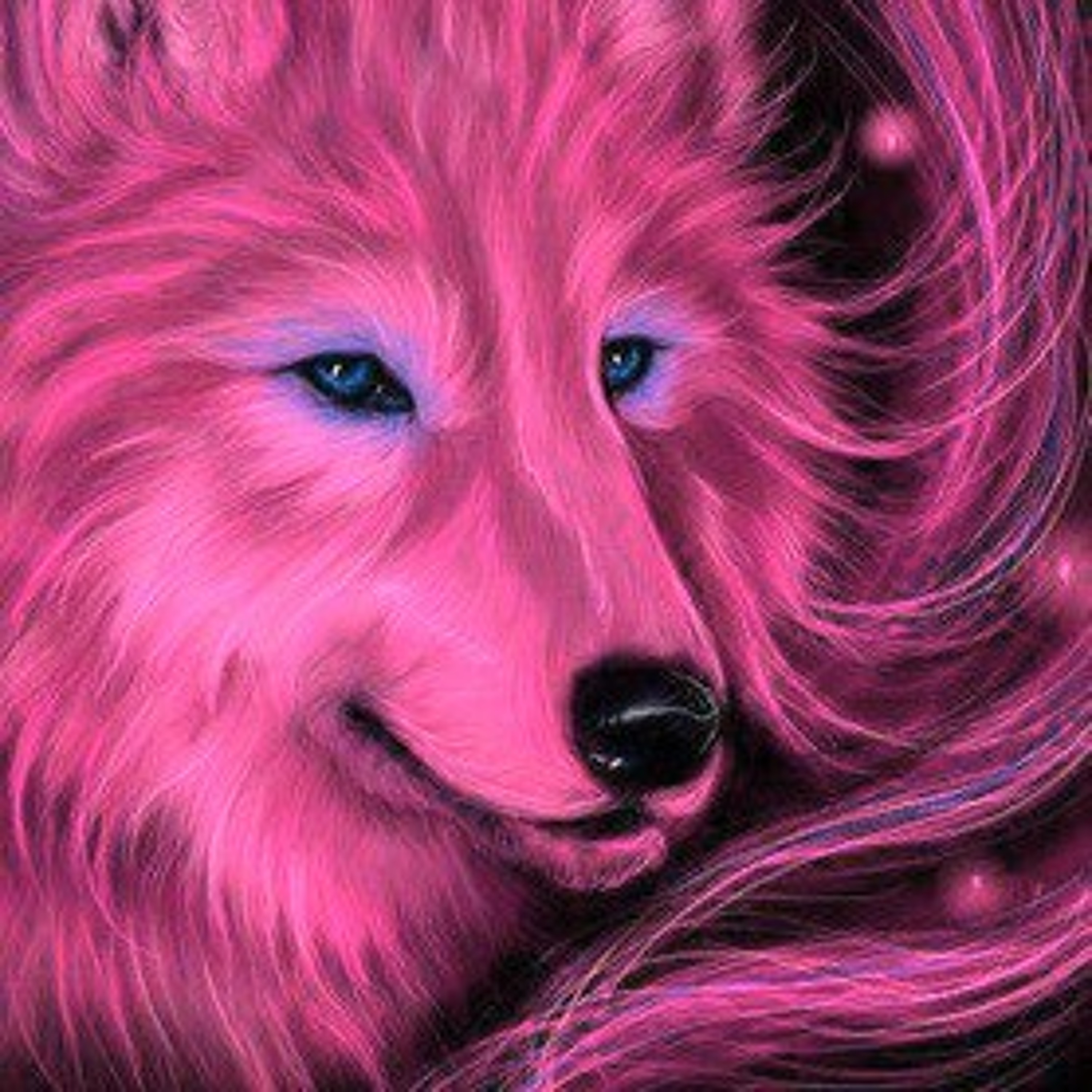 Pink wolf episode artwork