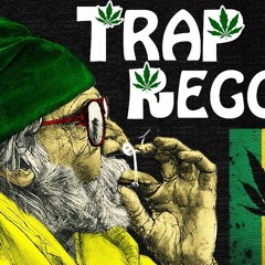 Best Trap Reggae Mix 2017 💊 Best Trap, Bass & EDM Reggae Music 💊