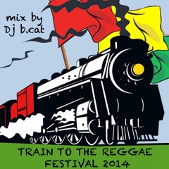 Train To The Reggae Festival 2014