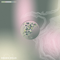 Real D - Reality [Khasia Hills]