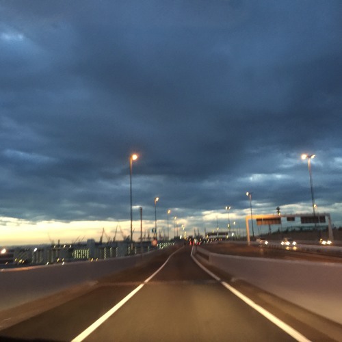 恋とマシンガン / THE FLIPPER'S GUITAR [cover]