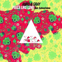 AN:RO & GRAY feat. SydneyCelene - Feels Like Love
