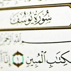ما تيسر من سورة يوسف - ابراهيم الواصل