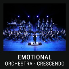 EMOTIONAL ORCHESTRA - The Migration