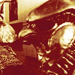 2 - Fruit & Icebergs