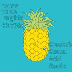 Round Table Knights - Calypso (Crooka's Casual Acid Remix)