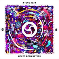 Steve Void - Never Been Better