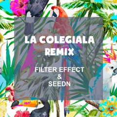 Filter Effect x SeedN(LNB) - La Colegiala (Bootleg) "Click Buy for free download"
