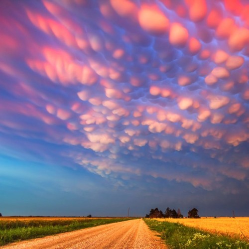 Mario Dujić - A Good Life (Instrumental)