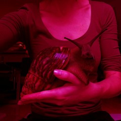 Acid Attak - Brutal Breakdown version