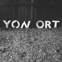 Yon Ort - What You Feel