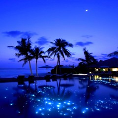 mylo - muscle car (marley bootleg)