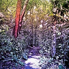 Nostalgia + Criminal