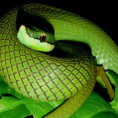 Strange 002 - 136bpm