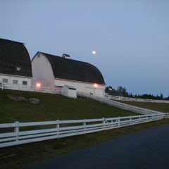 I Will Enter His Gates With Thanksgiving in My Heart