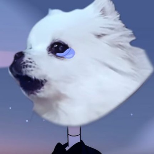 It's Bork, Isn't It?