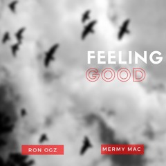 Feeling Good ft. Ron Ogz
