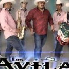 Los Avila - Huapango Las huilotas (2017)