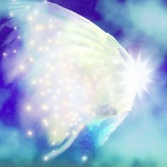 Erika Souls work
