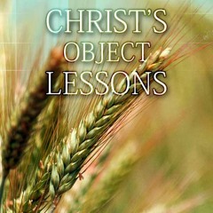 Message (JESUS'S OBJECT LESSON)by Rev. Michael Parker