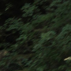 Twitter Hacks Episode 1 Teaser