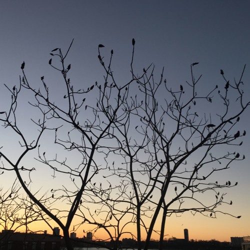 Rosy Retrospection 2017 For Orchestra By Yi Ting Lu The tendency to remember and recollect events more favorably than when they occurred. soundcloud