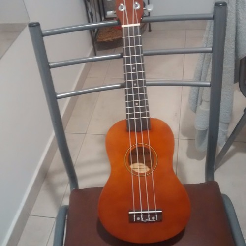 Me Puedo Programar (cover Virus con Ukele)