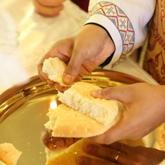 Let us attend 9- 7 Litanies and Fraction- Fr Michael Salib