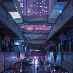 NeoTokyo Night Cruise