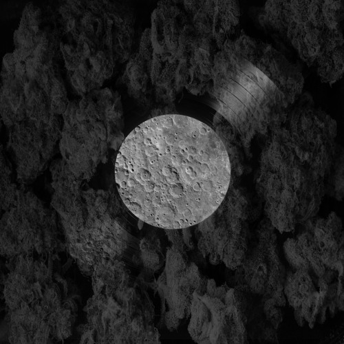 Q.T.P. // Dear John | She Weaving [prod. introspectivexminds]