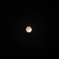 P Raw - 22 (Feat. Gamcho)