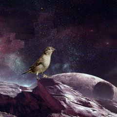 Omaima El Khalil - Asfour (PaperPlanes1948 Re-work) أميمة الخليل - عصفور