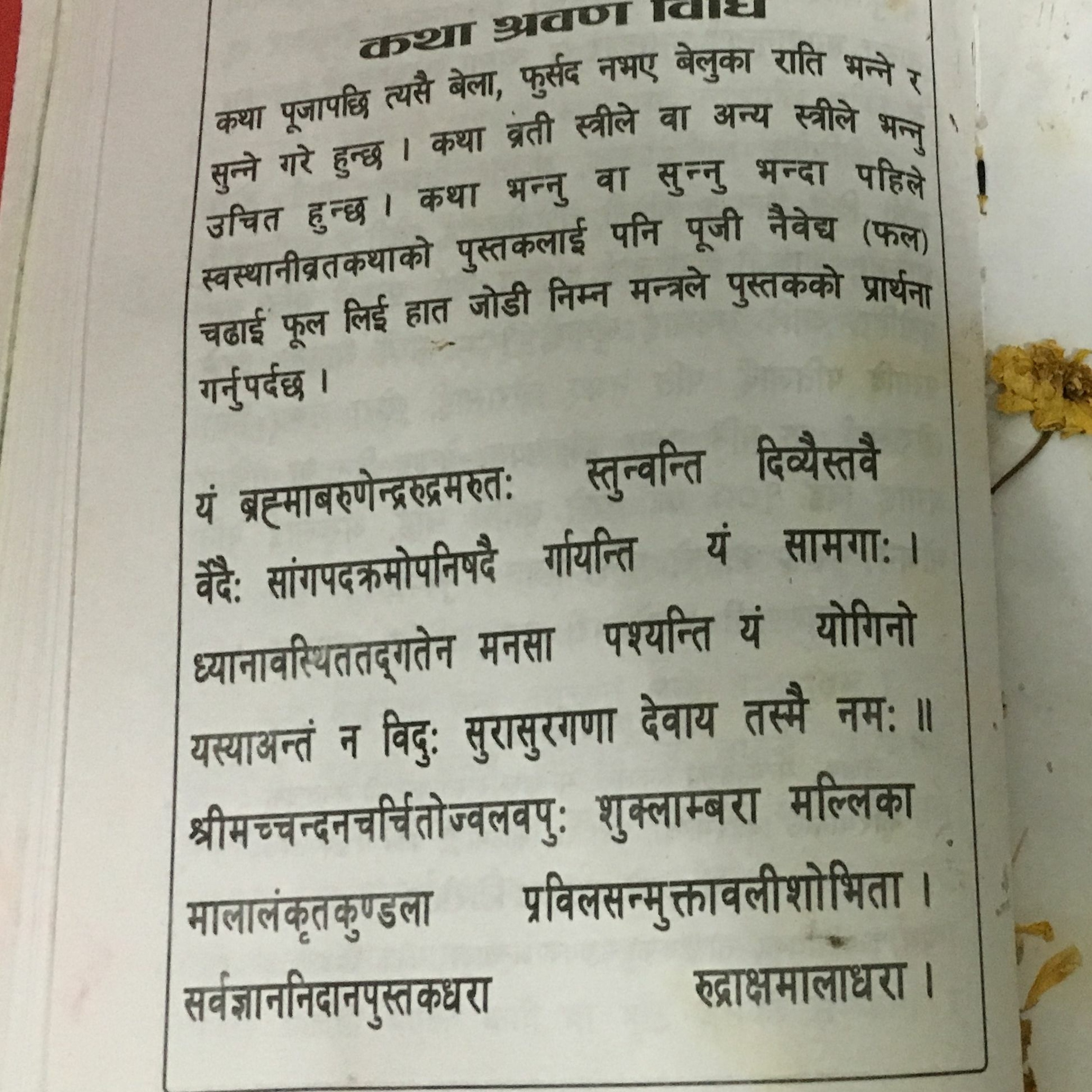 स्वस्थानी वाचन, उन्नंतिसौं अध्याय